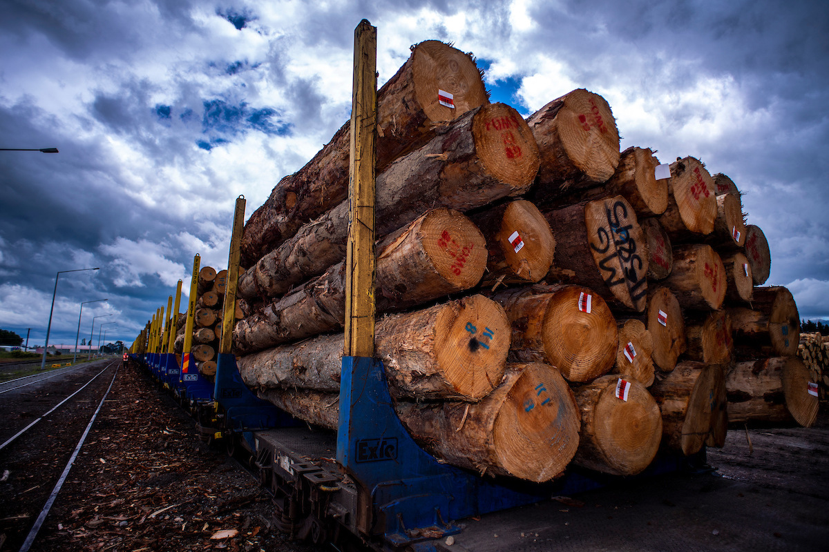 Waingawa Log Yard Train